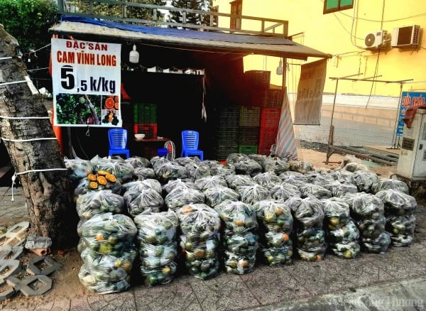 Pourquoi les oranges bon marché de Vinh Long sont-elles encore difficiles à vendre ?