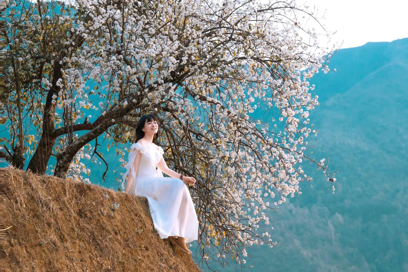 Los turistas acuden en masa a registrarse en el bosque de flores de espino más grande de Vietnam.