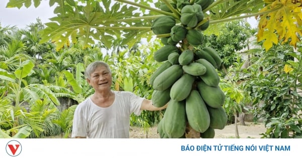 Quang Nam construye jardines modelo para realzar nuevas áreas rurales