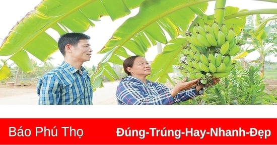 Tinh thần thi đua yêu nước trong nông dân