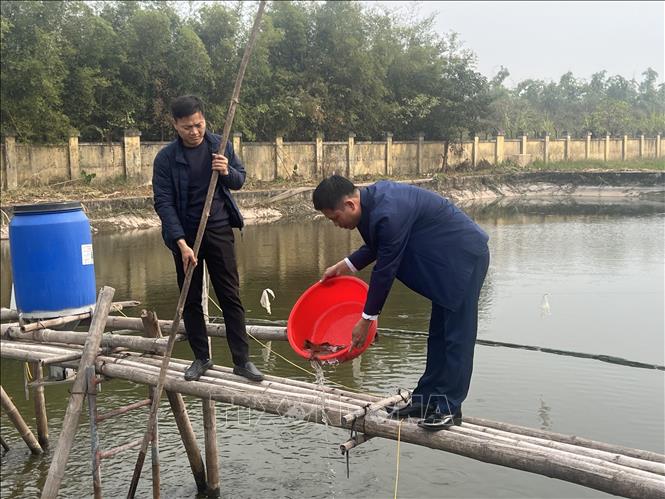 Áp dụng khoa học công nghệ, nâng cao sản lượng nuôi thủy sản