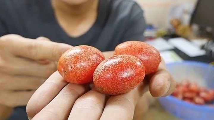 Los usos medicinales del árbol de azufaifo sorprenden a todos - Foto 1