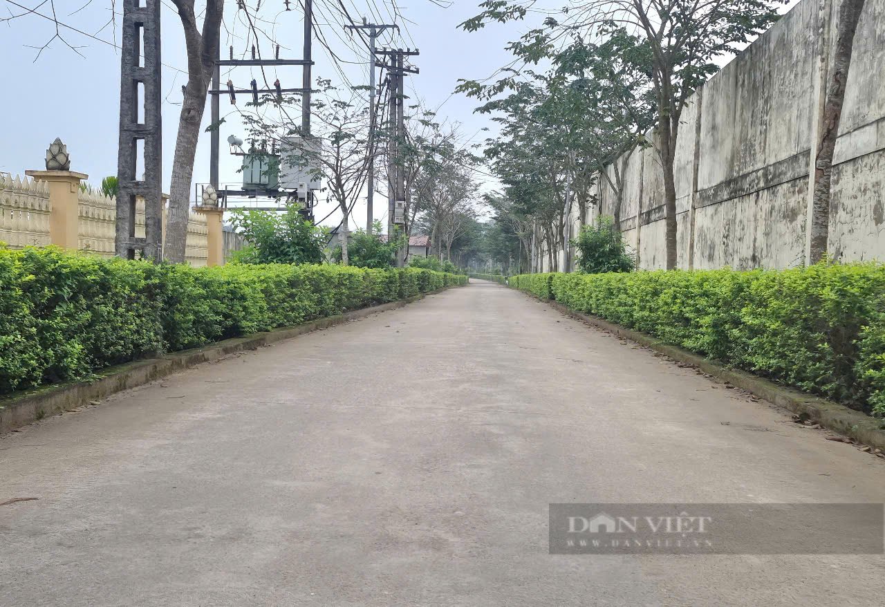 Một xã nông thôn mới kiểu mẫu của Thanh Hóa có thu nhập bình quân đầu người 75 triệu đồng/năm - Ảnh 10.