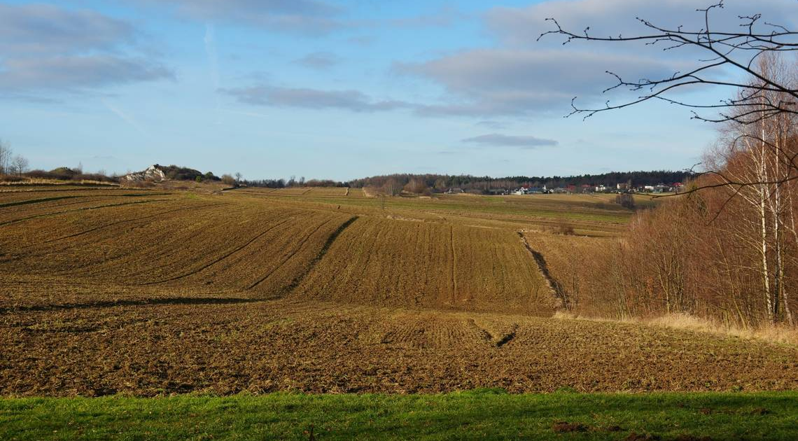 While working in the field, the farmer unexpectedly stumbled upon a "treasure" given by God.