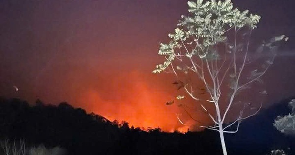 Erneuter Waldbrand in Tuyen Quang