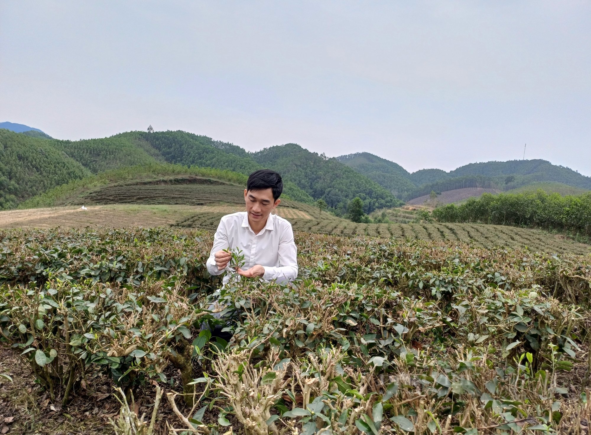 Tìm hướng đi riêng trong nông nghiệp, thanh niên trẻ Thái Nguyên biến thách thức thành cơ hội - Ảnh 2.