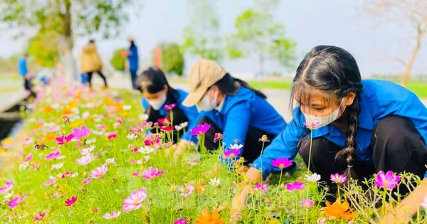 Nghe An Youth with meaningful work worth billions of dong