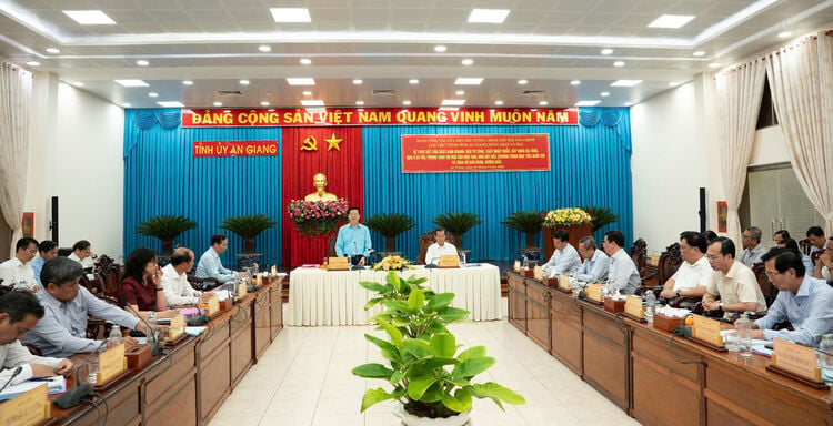 Deputy Prime Minister Mai Van Chinh works with An Giang, Dong Thap and Ca Mau provinces