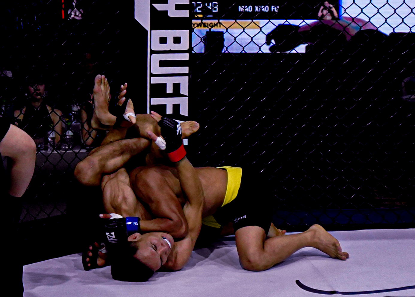 Tung đòn 'khóa' cực hiểm, võ sĩ Việt Nam thắng knock-out cao thủ Trung Quốc- Ảnh 1.