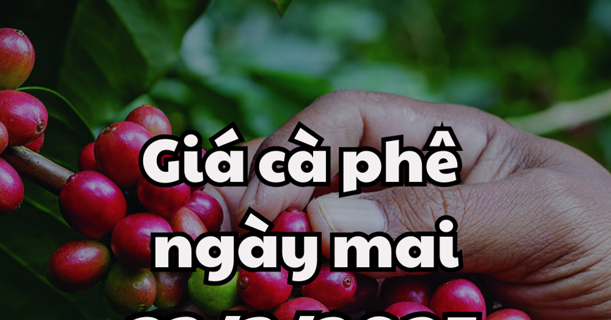 ข่าวสาร คาดการณ์ราคากาแฟพรุ่งนี้ 24 มี.ค. 68 ทรงตัวสูง