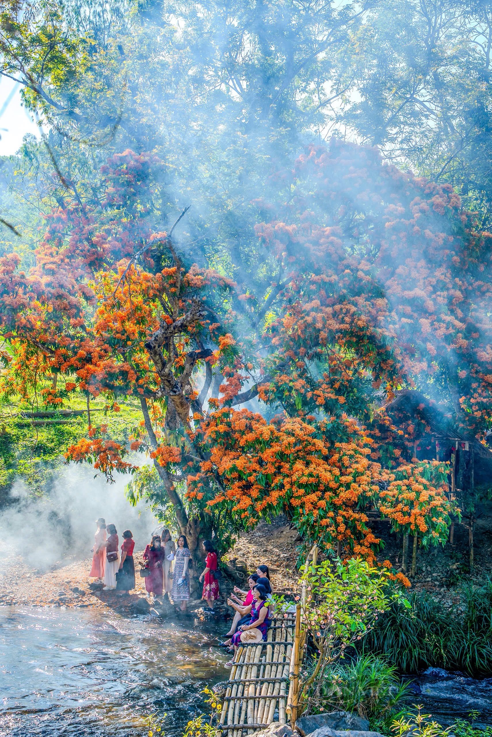 In diesem Dorf in Binh Dinh findet ein Fest statt, die Wildblumen ...