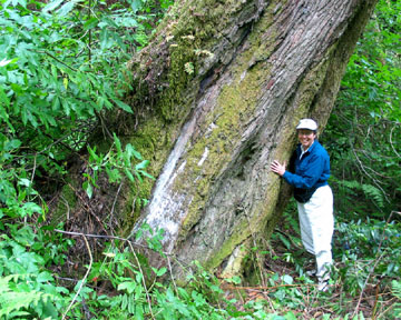 “Kho bau xanh” an minh trong nui thieng, ca the gioi canh phong can mat-Hinh-7