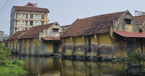 Image de la réserve nationale de Hai Phong inondée, des bancs de poissons nageant dans la cour