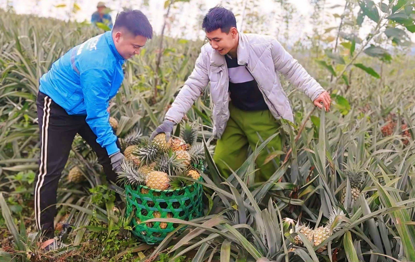 Nâng tầm thứ quả nhiều 