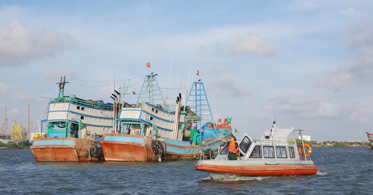 Bouclier au milieu de la mer du Sud-Est de la Patrie