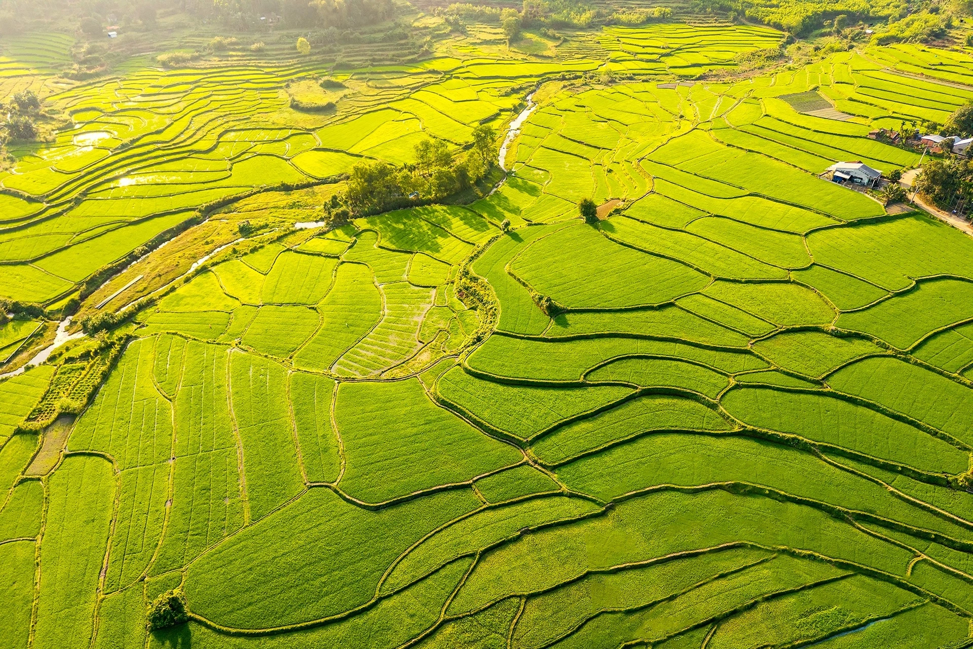 What's in this season in one of the 4 most beautiful ancient villages in Vietnam?