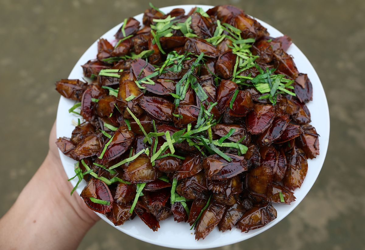 stink bug pickled bamboo shoots Trang Gai Ban.png