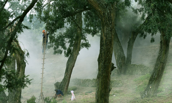 “Kho bau xanh” an minh trong nui thieng, ca the gioi canh phong can mat-Hinh-4