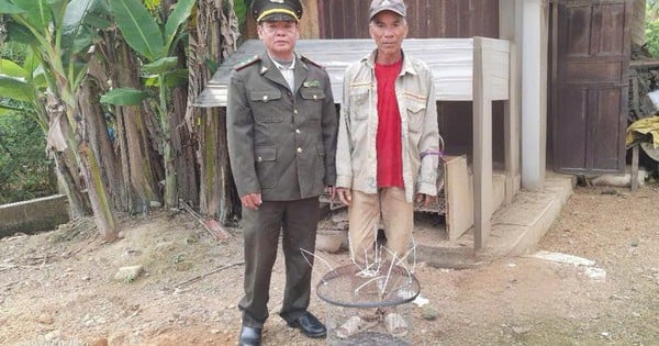 A reticulated python, a wild animal, suddenly crawled into a Hue man's house. This man forced it to be handed over to the forest ranger.