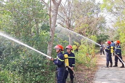 バク・リュウ鳥類園における乾季の森林火災予防活動