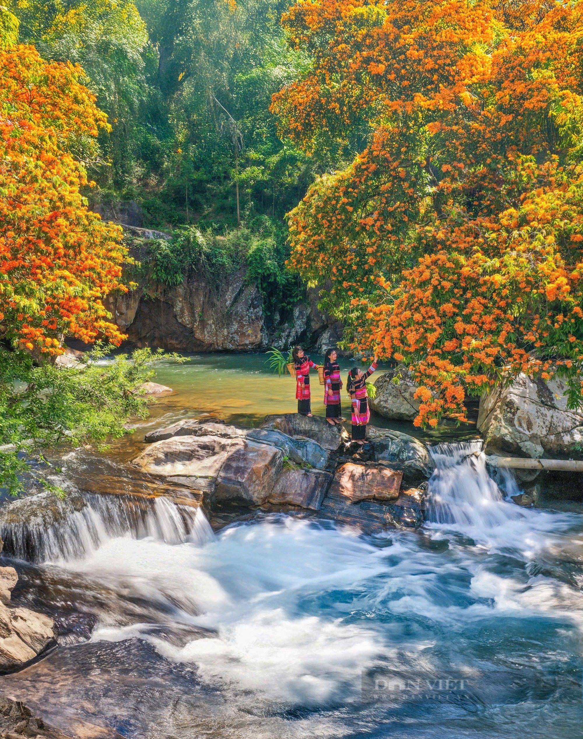 Làng này ở Bình Định đang có lễ hội đặc biệt, hoa rừng nở rộ, suối chảy róc rách, cảnh đẹp như phim - Ảnh 2.