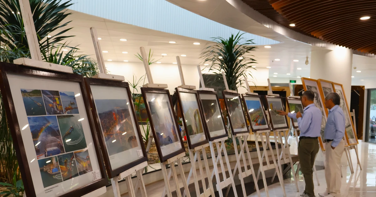 Présentation de plus de 300 œuvres à l'exposition « Da Nang 50 ans - Aspiration à l'élévation »