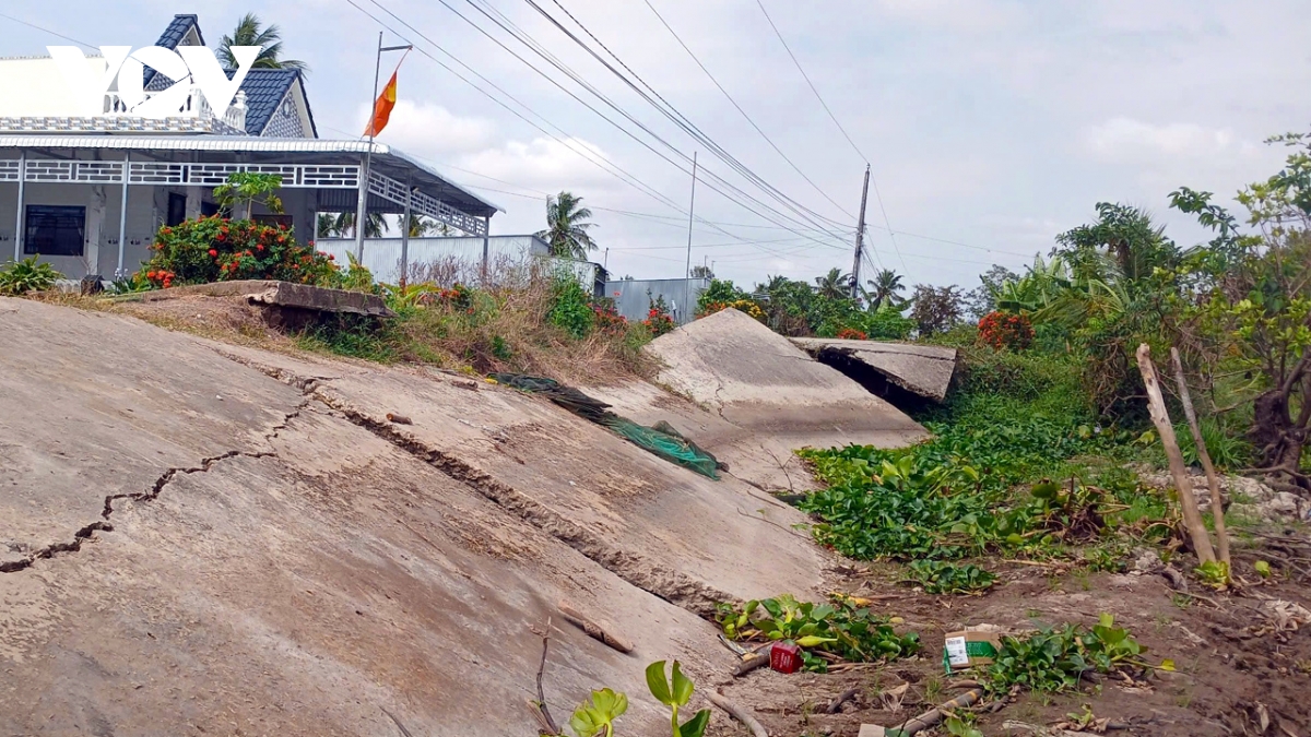 ca mau khac phuc cu sut lun vung ngot trong mua kho hinh anh 1