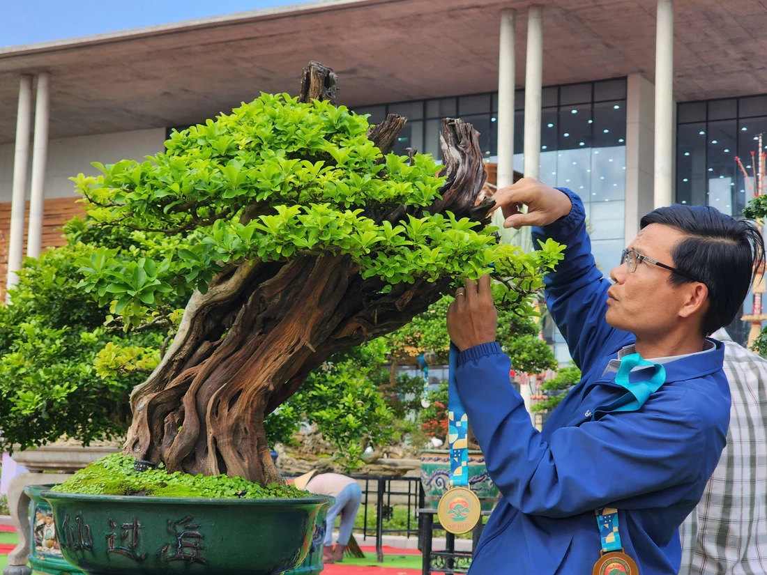 Siêu bonsai hội tụ tại Quảng Ngãi hút mắt người xem - Ảnh 7.