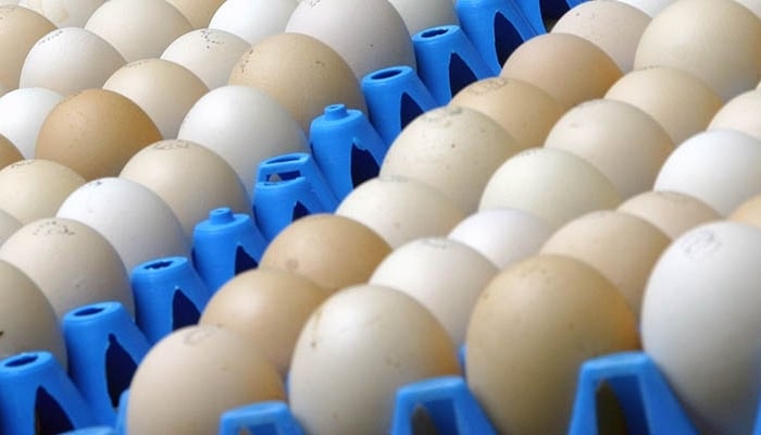 US imports eggs from South Korea, Türkiye to cool prices