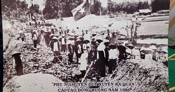 Il s'agit d'une photo rare d'agriculteurs de Quang Nam récupérant et restaurant leurs champs il y a 50 ans.