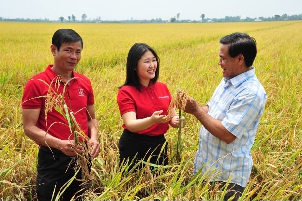 Ngân hàng sẵn sàng đẩy mạnh cho vay theo chuỗi