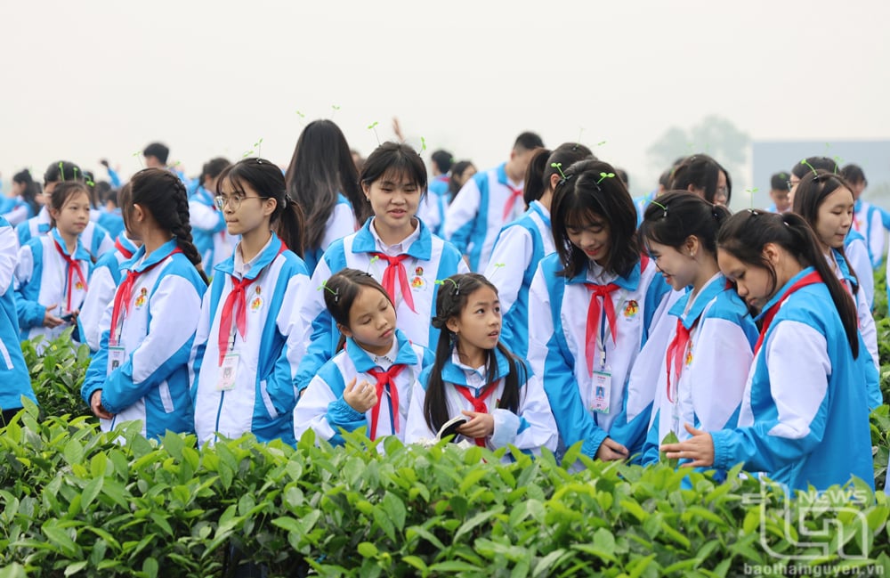 Thai Nguyen children experience the culture of 'First famous tea'