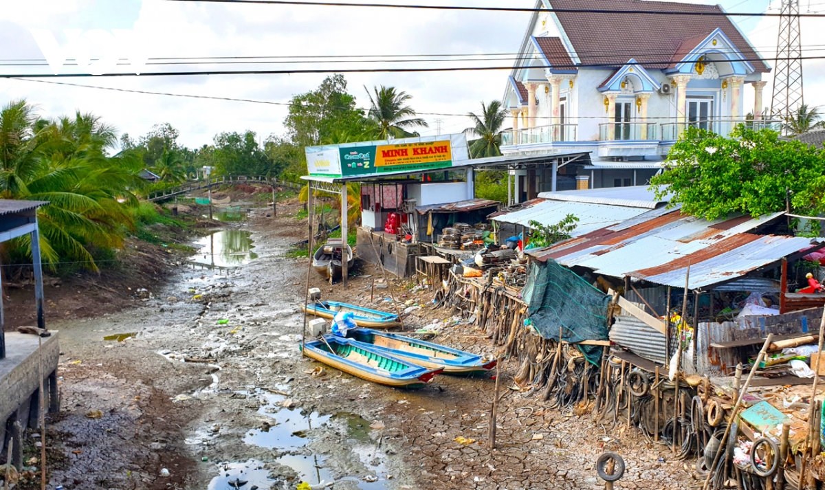 ca mau khac phuc cu sut lun vung ngot trong mua kho hinh anh 2