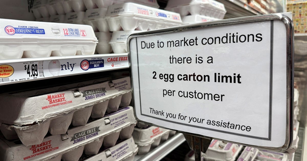 Severe egg shortage, US needs to import 'hundreds of millions of eggs'