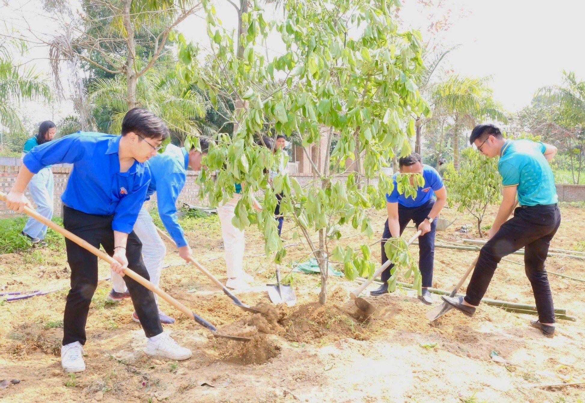 Tuổi trẻ Nghệ An với những phần việc ý nghĩa trị giá hàng tỉ đồng ảnh 10