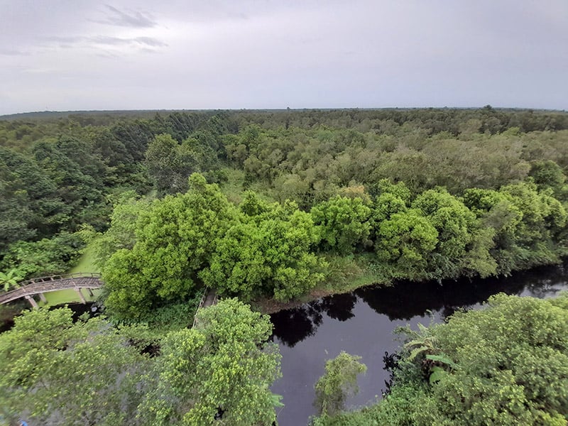 Más de 500 mil millones de dongs para implementar un proyecto turístico en el "pulmón verde" de Occidente