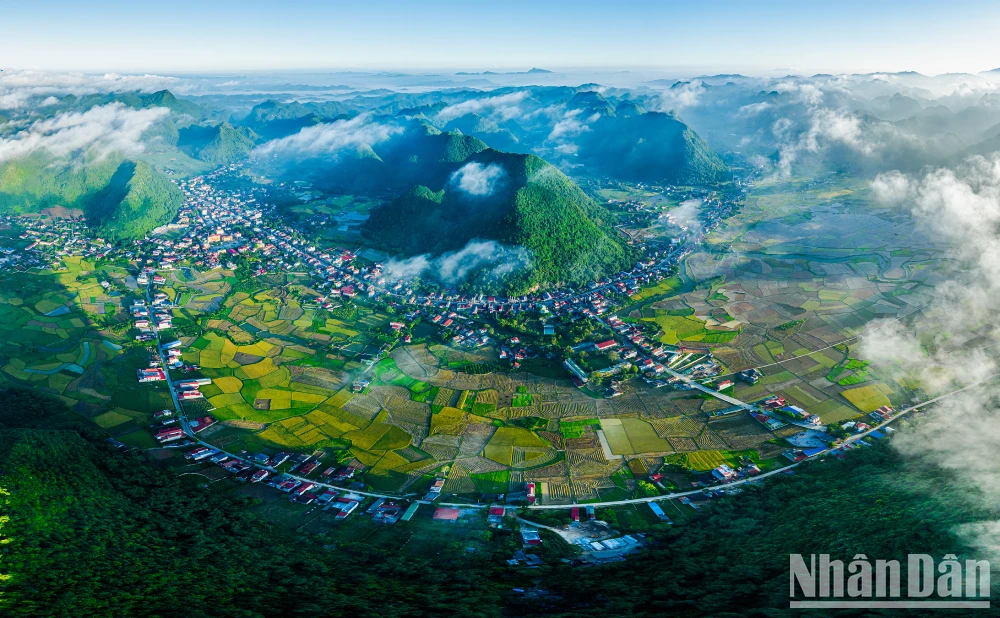 Couleurs de Bac Son - « C'est la forêt de montagne de la zone de guerre »