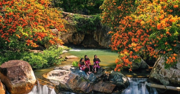 In diesem Dorf in Binh Dinh findet ein Fest statt, die Wildblumen blühen so schnell, das Bachwasser ist kristallklar und die Landschaft ist so schön wie im Film.