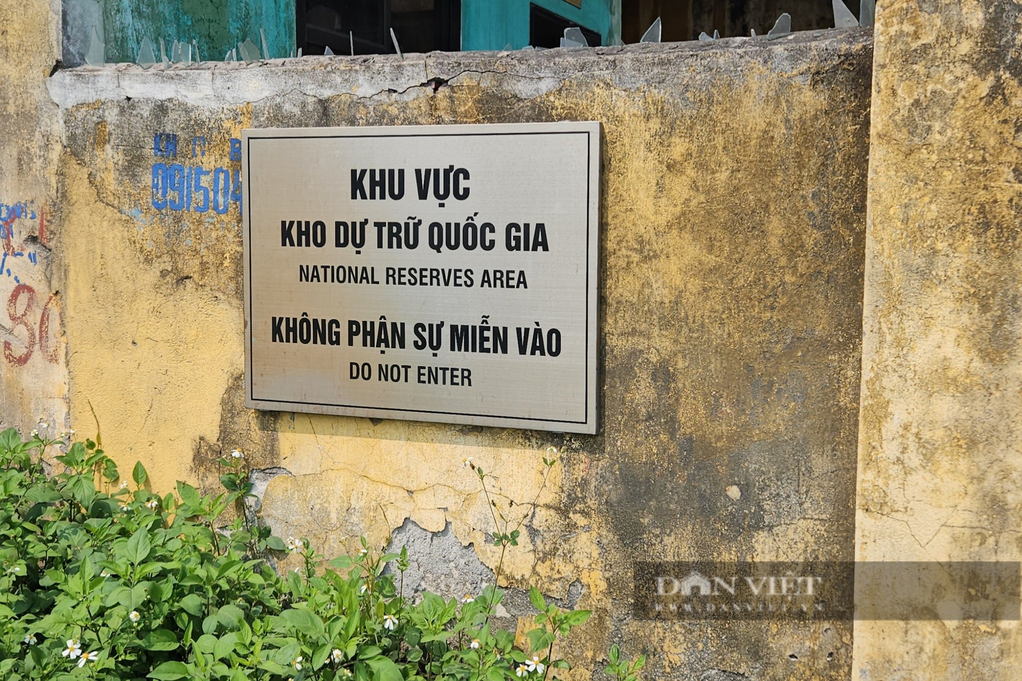 Hình ảnh kho dự trữ quốc gia ở Hải Phòng bị ngập trong nước, từng đàn cá bơi tung tăng trong sân- Ảnh 2.