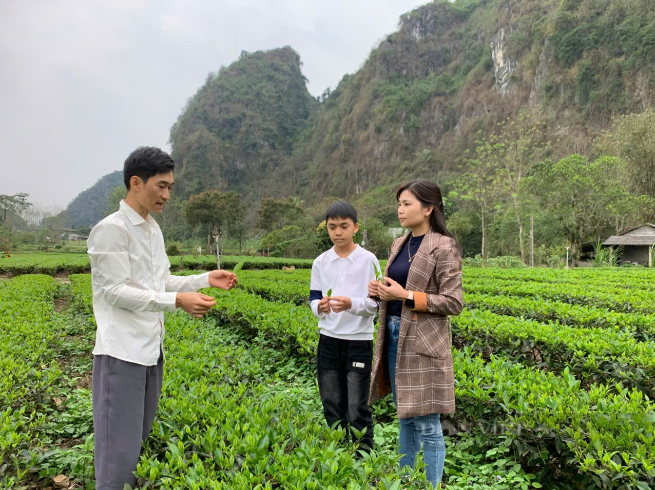 Tìm hướng đi riêng trong nông nghiệp, thanh niên trẻ Thái Nguyên biến thách thức thành cơ hội - Ảnh 3.