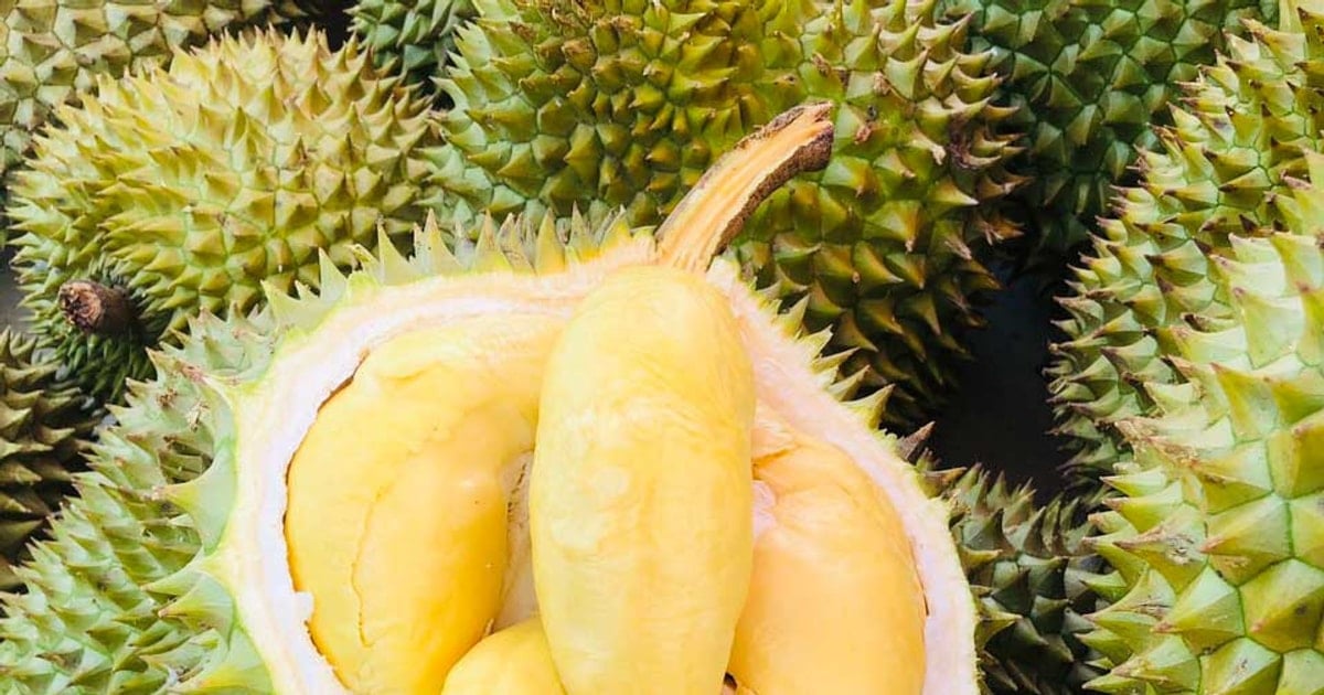 Precio del durian hoy 23 de marzo: estable