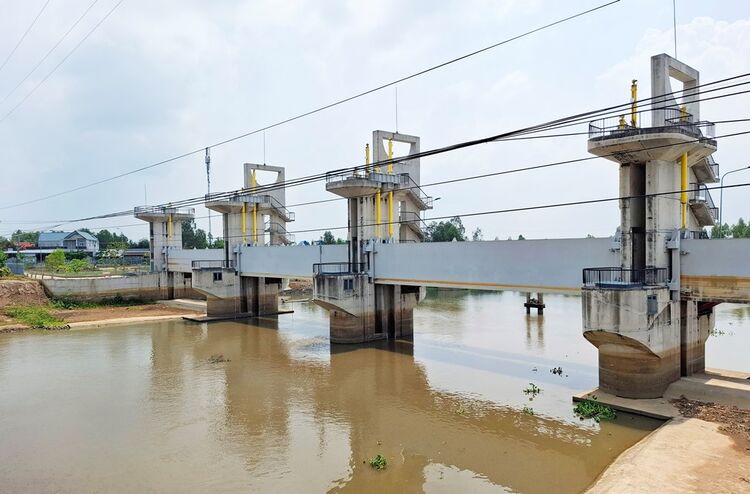 Проактивно реагировать на пиковое вторжение соленой воды