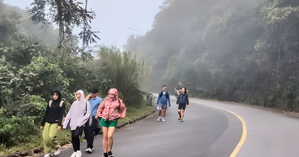 Fin de semana, ve a la península de Son Tra a dar un paseo.