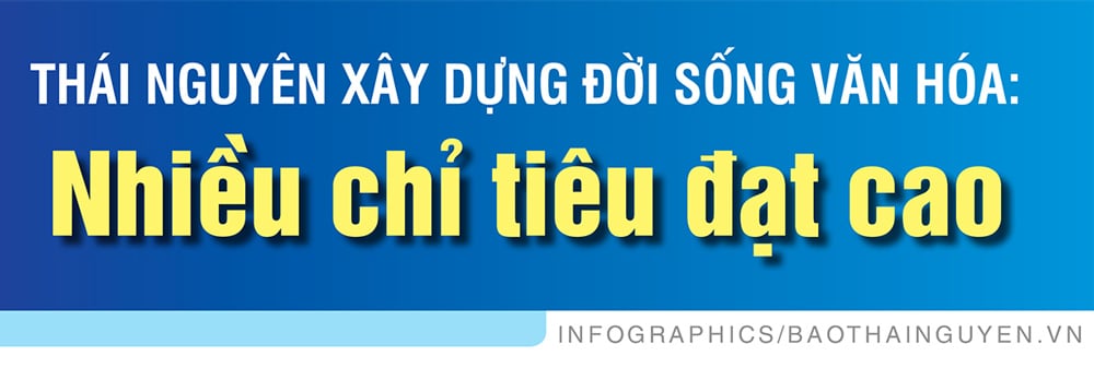 タイグエンは文化生活を築く：多くの目標が達成された