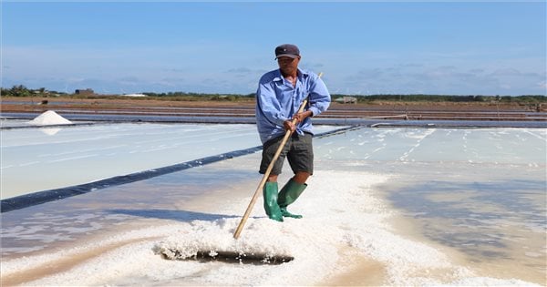 For Bac Lieu salt farmers to "live" with salt grains: The story of prices (Part 1)