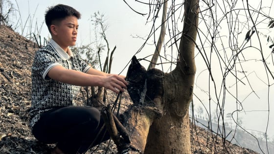 La province de Thai Nguyen exige de ne pas être négligent avec le feu