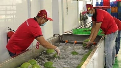 新たな状況における農産物輸出市場の維持