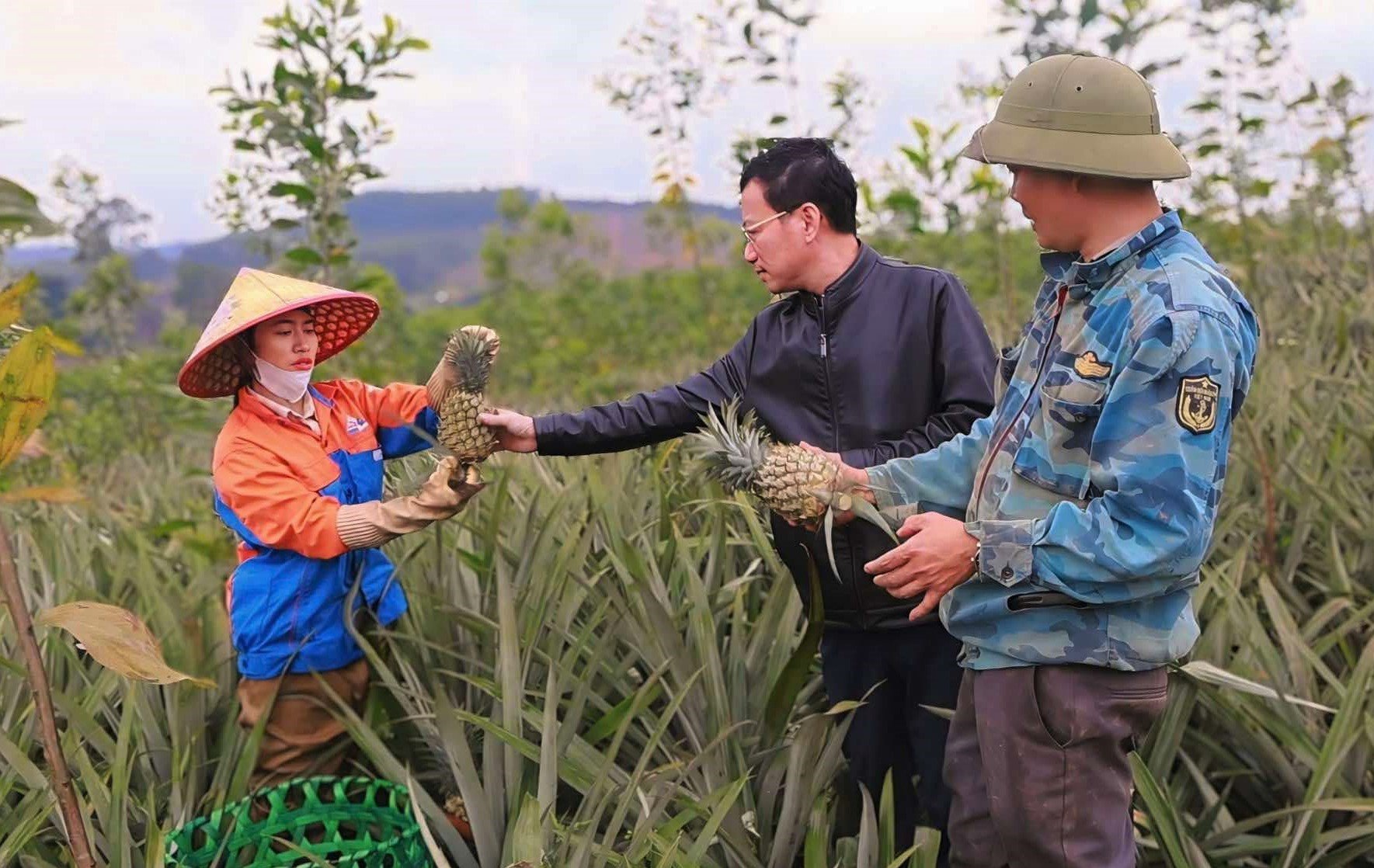 Nâng tầm thứ quả nhiều 