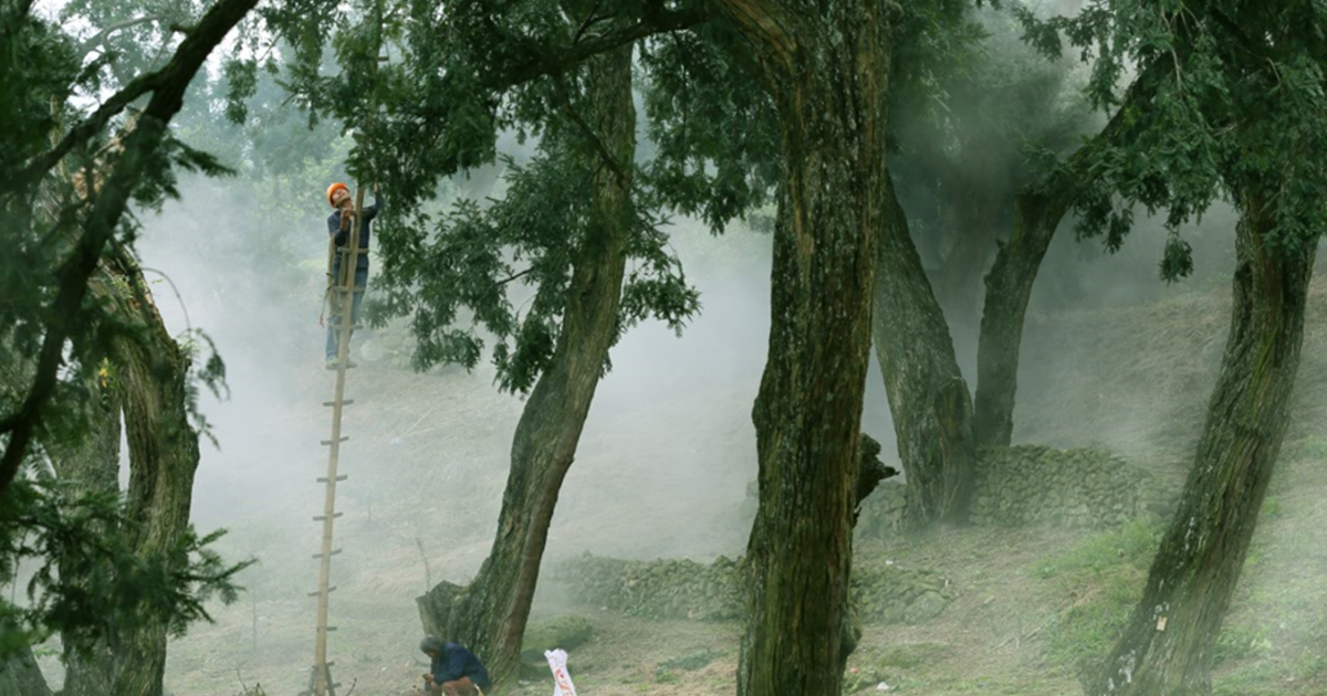 "Treasure" hidden in sacred mountain, whole village guarded carefully