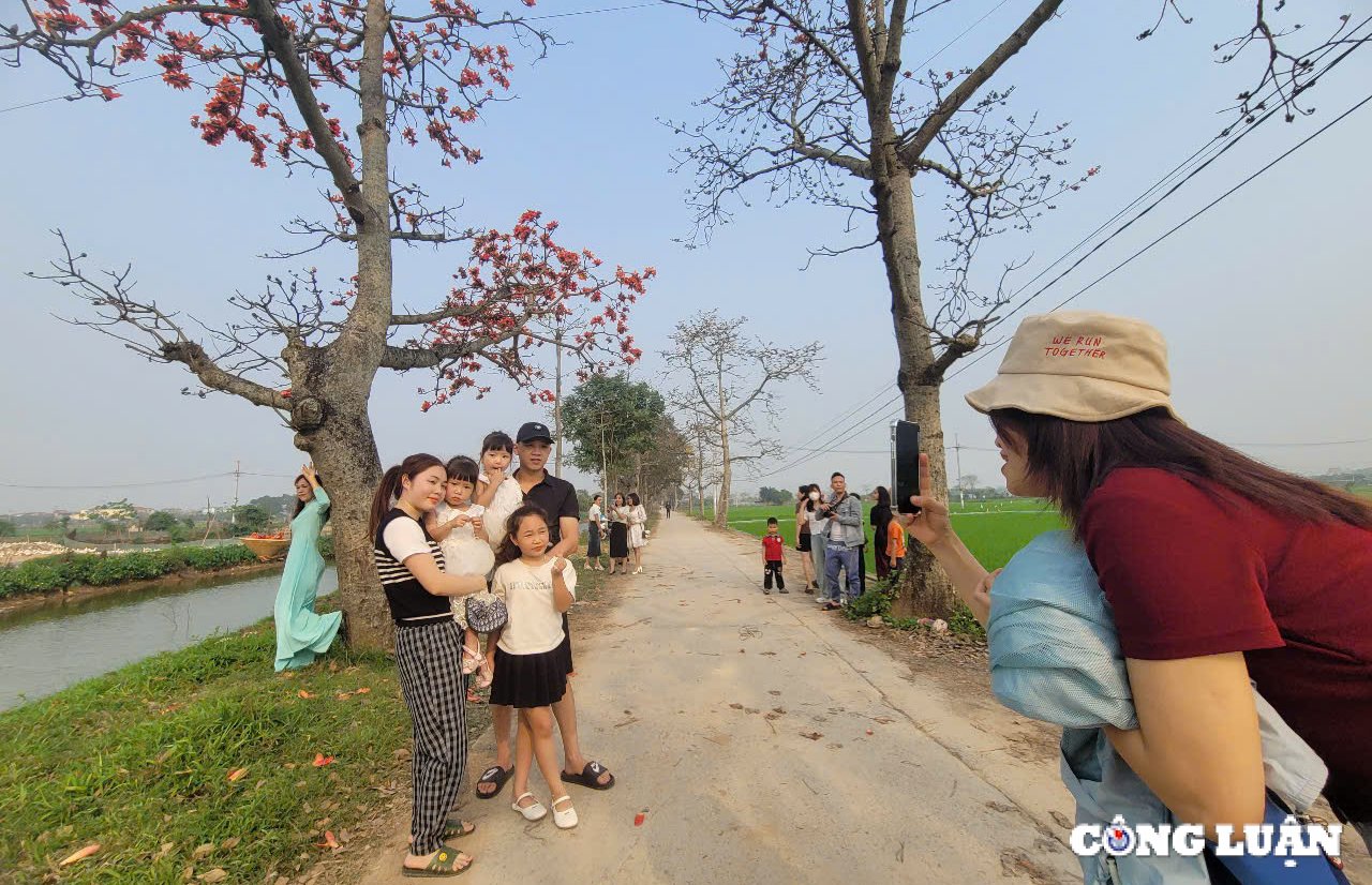 Einheimische checken auf der wunderschönen Reisblumenstraße außerhalb von Hanoi ein, Foto 8